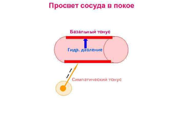 Кракен даркнет ссылка kraken link24 info